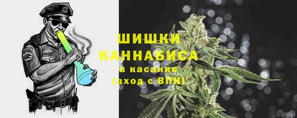 экстази Ельня