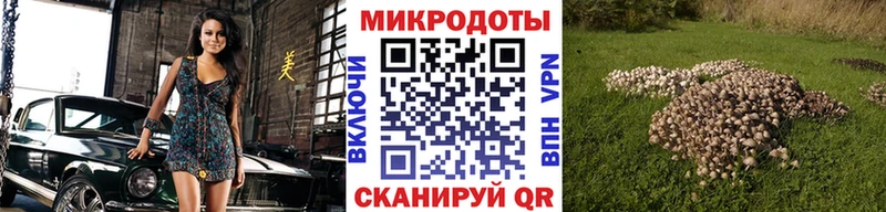 площадка какой сайт  кракен сайт  Кингисепп  Галлюциногенные грибы Magic Shrooms 