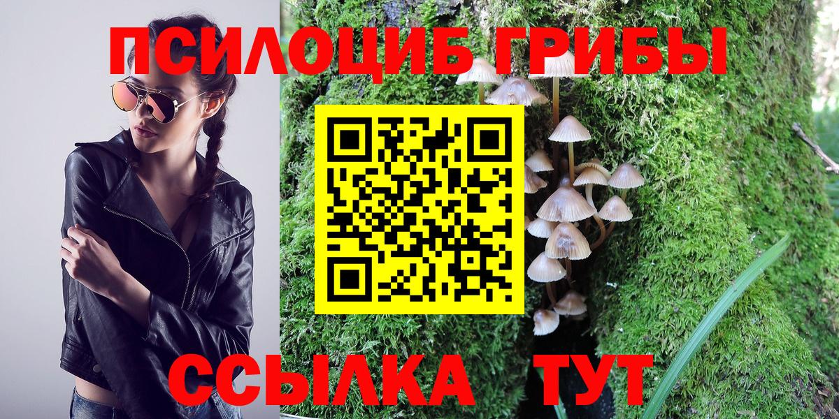 Кингисепп  Псилоцибиновые грибы мухоморы  Вход с VPN 