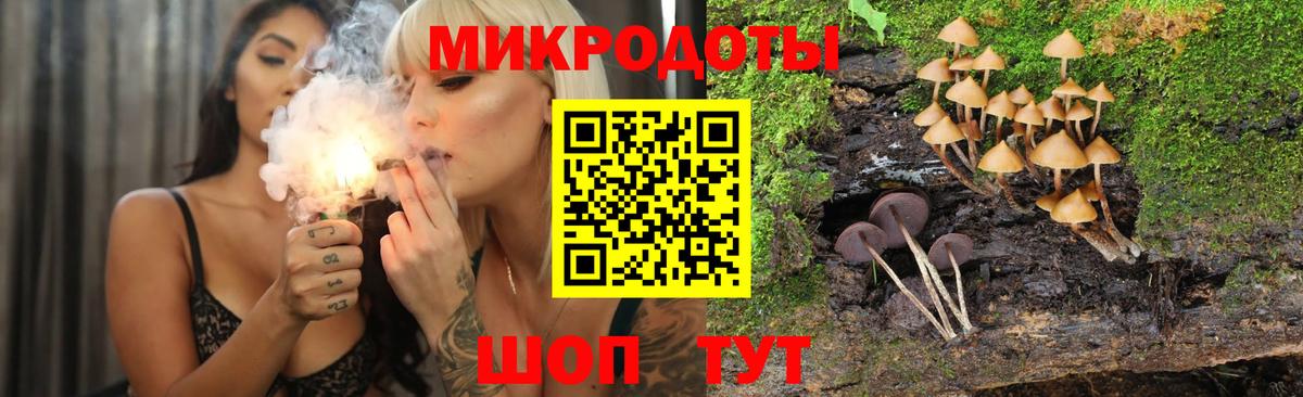 NBOMe Кингисепп